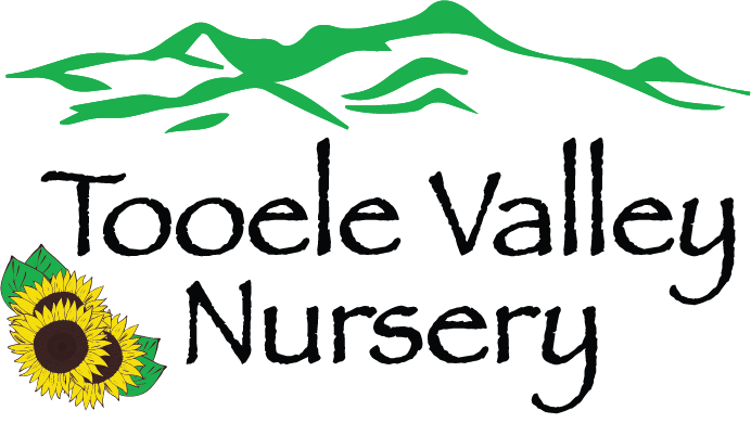 Tooele Valley Nursery Logo